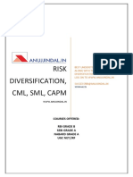 1. Risk Diversification Cml Sml Capm Lyst2988