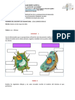 Activiades de Biología Propuestas para Primero de Bgu