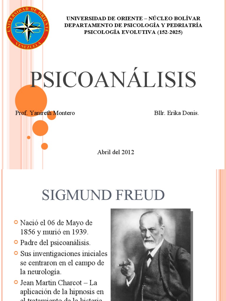 Psicoanalisis PDF Carné de identidad Psicoanálisis