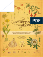 Plantas medicinales chilenas para la salud de la mujer