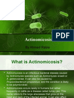 Actinomicosis: by Ahmed Rabie