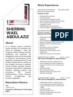 Sherbini, Wael Abdulaziz: Work Experience