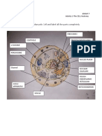Draw A Simple Eukaryotic Cell and Label All The Parts Completely