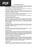 Circuito Productivo Del Trigo - Geografía | PDF | Trigo | Harina