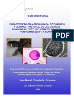 Hematologia