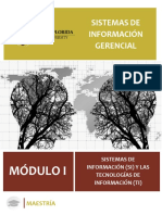 Módulo I Sistemas de Información Gerencial