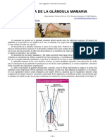 264-Anatomia Glandula Mamaria