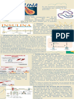 Insulina y Glucagon