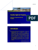 04. Gestão Ágil de Projetos - Estrutura Organizacional de Projetos