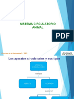 Diapositivas Sistema Circulatorio Animal