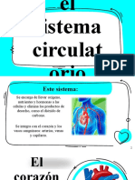 Sistema Circulatorio DIAPOSITIVAS
