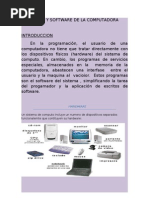 Ensayo Hardware y Software