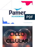 PPT - Ciclo Celular