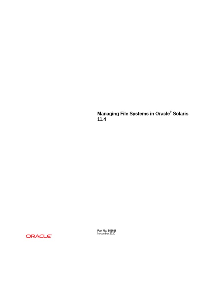Managing File Systems in Oracle Solaris 11.4 | PDF | File System ...