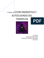 Modulo Proteccion Energetica