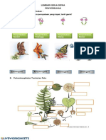 Hubungkan Gambar Dengan Pernyataan Yang Tepat, Tarik Garis!: Lembar Kerja Siswa Penyerbukan A. Macam-Macam Penyerbukan