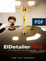 TIPS Detailing - ElDetailerPRO-2