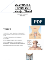 Anatomi & Histologi