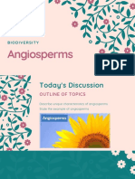 Angiosperm 