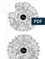 Ilide.info 156474989 Diapositiva de Mapas de Iridologia Pr f9424002d4ec64981d20e52e8ab2789a