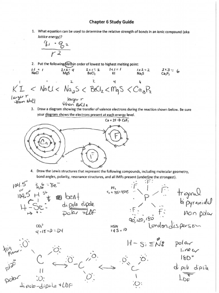 Chapter 6 Study Guide Answers | PDF