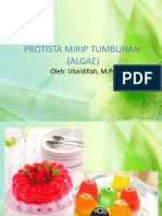 Protista Mirip Tumbuhan 