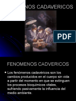 Fenomenos Cadavericos 1216663614923571 8