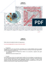 3.1 Tarea Organelos