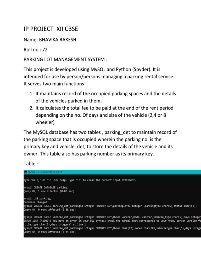 Ip Project Class 12 | PDF