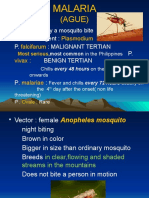 (AGUE) : Transmitted by A Mosquito Bite Causative Agent: P.: Malignant Tertian P. Benign Tertian P