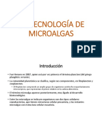 biotecnología de microalgas