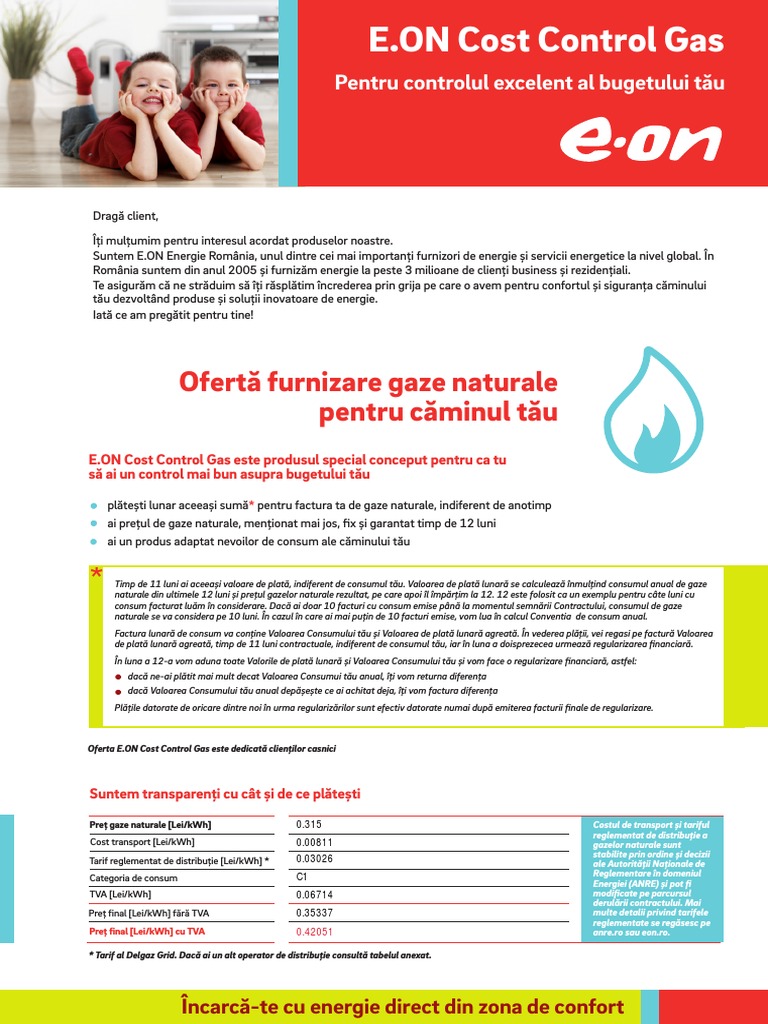 E.ON Cost Control Gas | PDF