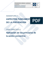 CP2 A1 Aplicacion Principios Accion Preventiva