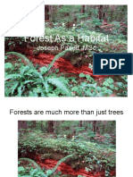 Forest As A Habitat: Joseph Paquit, MSC
