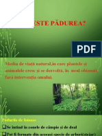 Stiinte Padurea