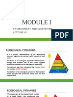 Lecture 3 Ecological Pyramids