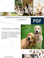 Comportamiento Etológico en Caninos