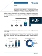 Suzano17 (07-07) Relatorio Anual 2017