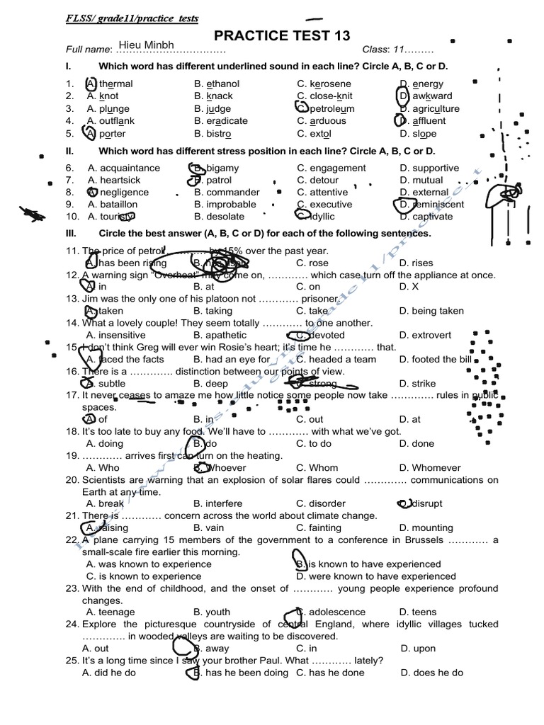 Practice Test 13 g11 - Student | PDF | Energy Development | Solar Power