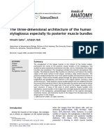 The Three-Dimensional Architecture of The Human Styloglossus Especially Its Posterior Muscle Bundles