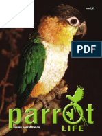 ParrotLife 2small