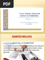 Download Diabetes Mellitusppt 2 by Tania Montoro Cervero SN56011030 doc pdf