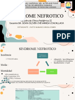 Sindrome Nefrotico