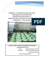 Tfg Diseño y Construcción de Dos Sistemas Acuapónicos Horizontales Para La Producción Conjunta de Peces Dorados y Lechugas