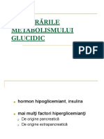 3 Metabolism Glucidic 2017