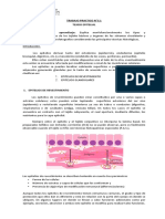 LABHISTO-11-Tejidos Epiteliales-2021 DMOR 0011