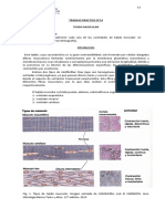 LABHISTO-14 - Tejido Muscular - 2021 DMOR-0011