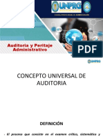 Auditoria y Peritaje 01