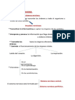 4. SISTEMA NERVIOSO