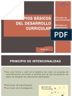 Diapositivas Principios Básicos Del Desarrollo Curricular